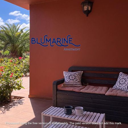 Апартаменти Tamarindo Blumarine - Pool & Wifi Free 4 Persons Корралехо Екстер'єр фото