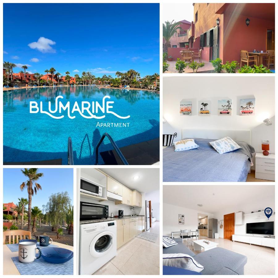 Апартаменти Tamarindo Blumarine - Pool & Wifi Free 4 Persons Корралехо Екстер'єр фото