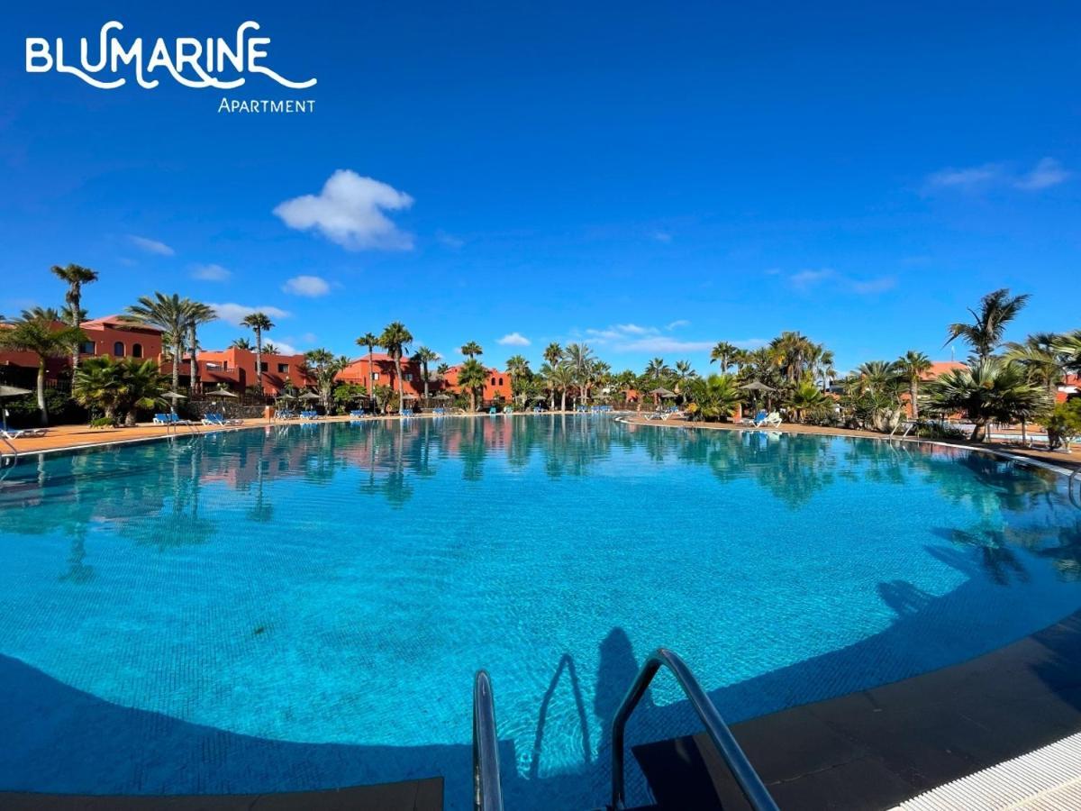 Апартаменти Tamarindo Blumarine - Pool & Wifi Free 4 Persons Корралехо Екстер'єр фото