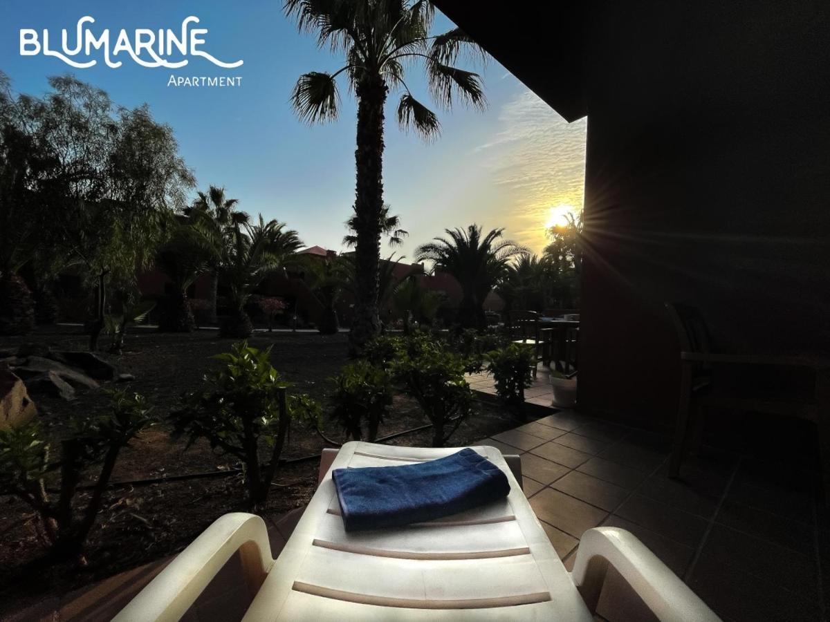 Апартаменти Tamarindo Blumarine - Pool & Wifi Free 4 Persons Корралехо Екстер'єр фото