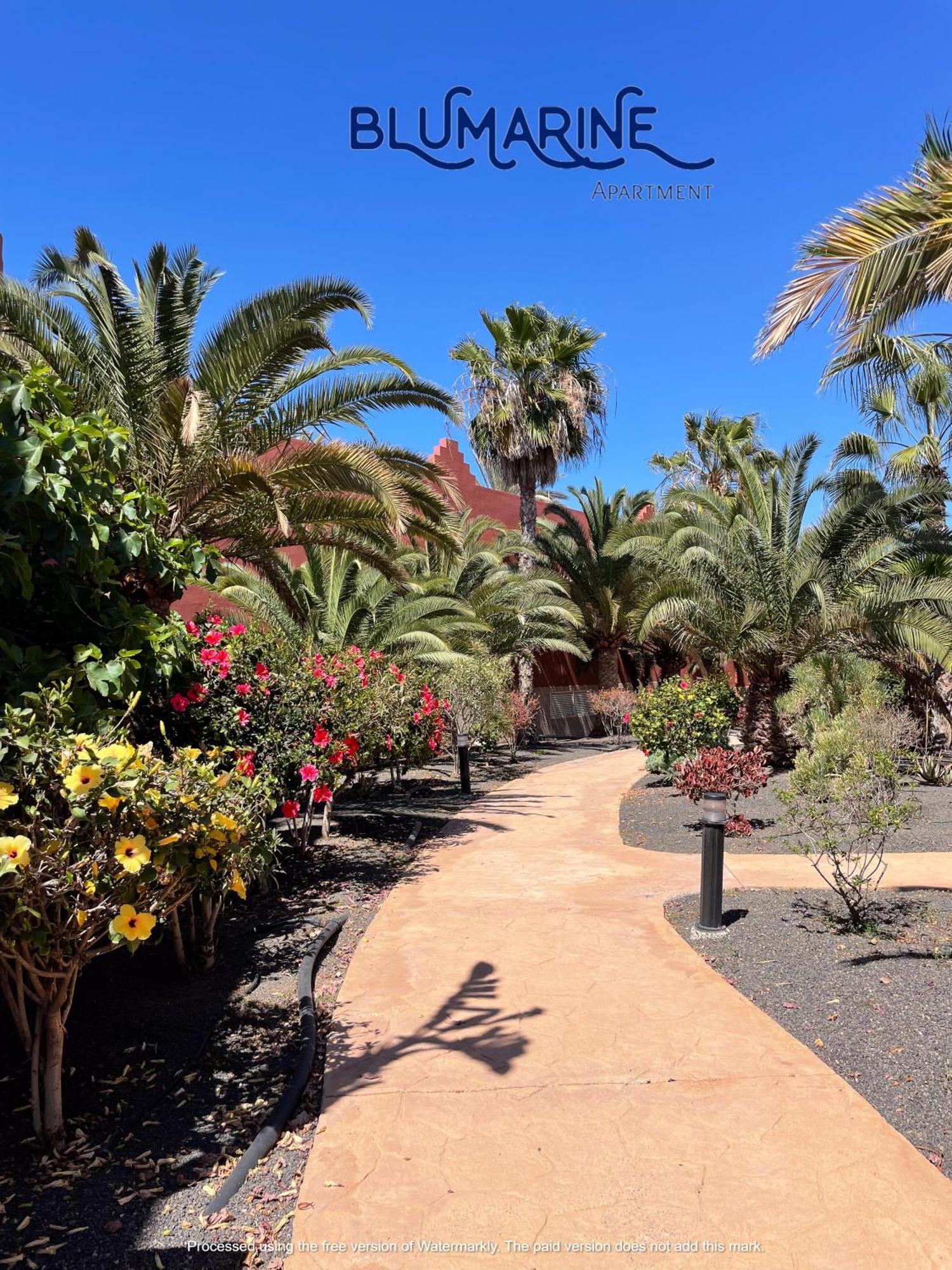 Апартаменти Tamarindo Blumarine - Pool & Wifi Free 4 Persons Корралехо Екстер'єр фото