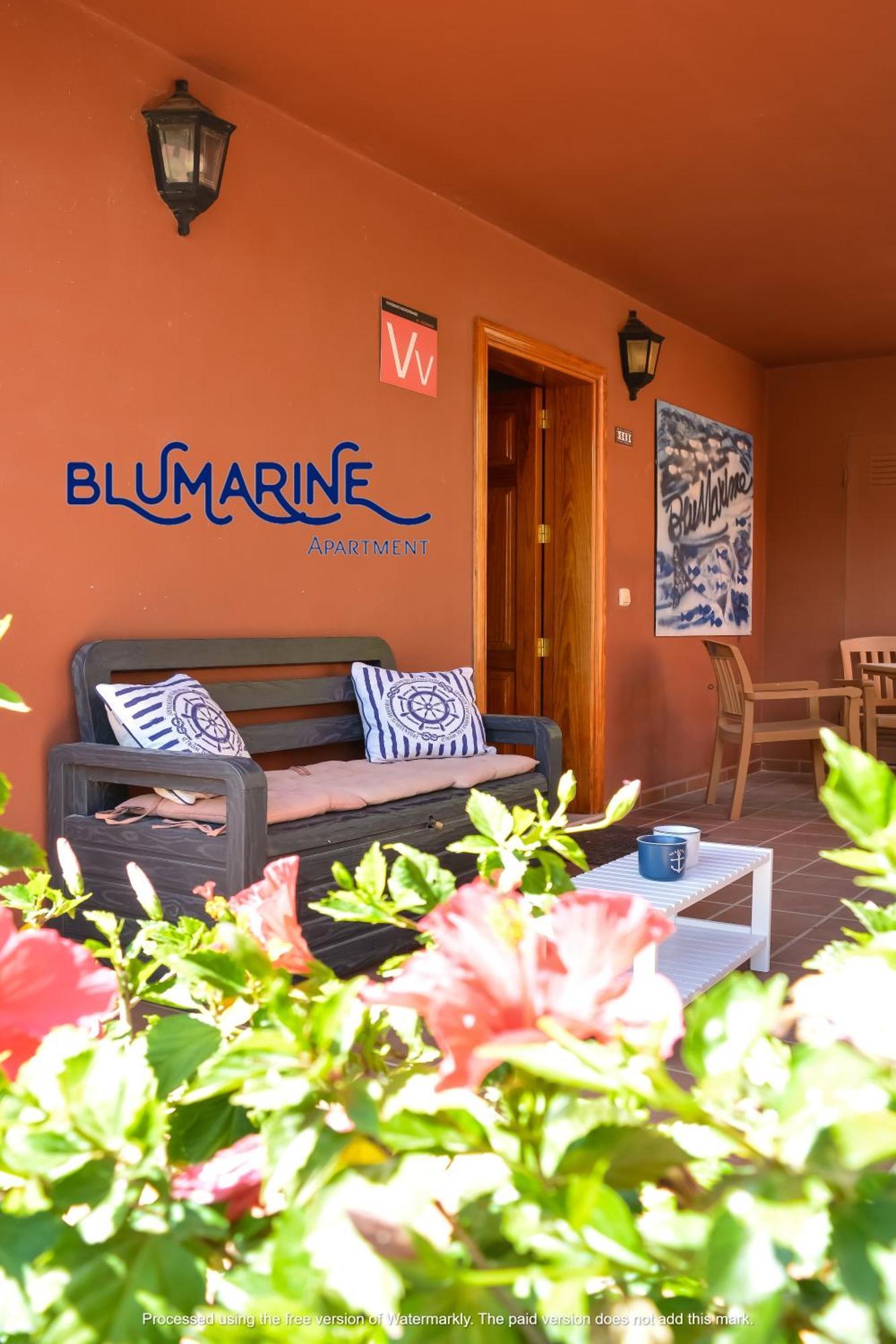 Апартаменти Tamarindo Blumarine - Pool & Wifi Free 4 Persons Корралехо Екстер'єр фото